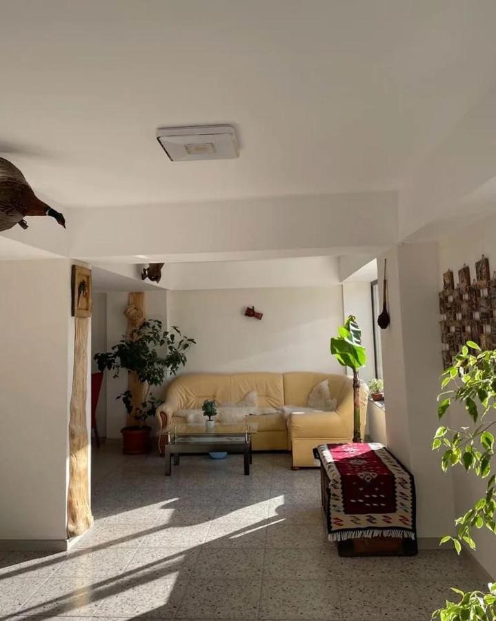 Casa De Vacanta Clara Maria Comarnic Eksteriør bilde